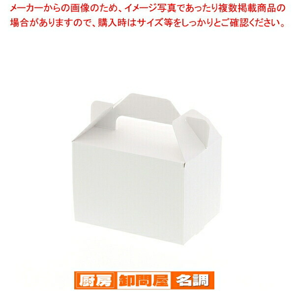 【まとめ買い10個セット品】HEIKO Nホワイトキャリーケース 10.5×15 25枚
