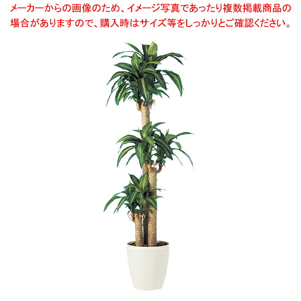 SG マッサンゲアナ 90746 1.7m【人工樹木 作り物】 【厨房用品 調理器具 料理道具 小物 作業 厨房用品 調理器具 料理道具 小物 作業 業務用】