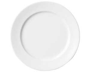 【まとめ買い10個セット品】 ハ587-068 リアルホワイト 17プレート【キャンセル/返品不可】 12,123円