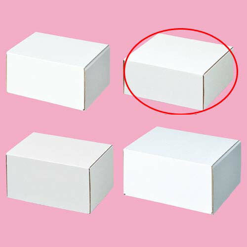 【まとめ買い10個セット品】フリーボックス 15.5×15.5×6.5 10枚 61-286-2-8 【 店舗什器 小物 ディスプレー ギフト ラッピング 包装紙 袋 消耗品 店舗備品 】