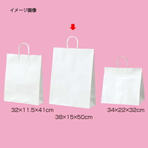 【まとめ買い10個セット品】丸ひも ローコストタイプ 白無地 38×15×50 50枚 61-658-55-9 【 店舗什器 小物 ディスプレー ギフト ラッピング 包装紙 袋 消耗品 店舗備品 】