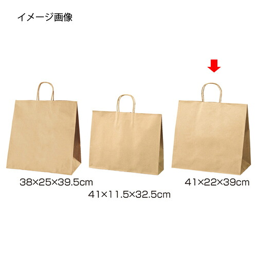 丸ひもタイプ 茶無地 41×22×39 50枚 61-431-24-10 【 店舗什器 小物 ディスプレー ギフト ラッピング 包装紙 袋 消耗品 店舗備品 】