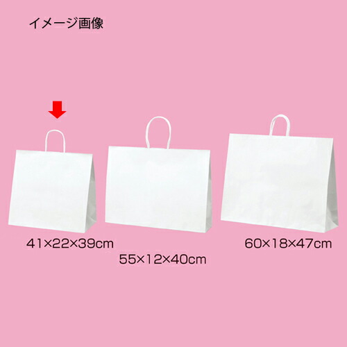 【まとめ買い10個セット品】丸ひもタイプ 白無地 41×22×39 50枚 61-431-25-10 【 店舗什器 小物 ディスプレー ギフト ラッピング 包装紙 袋 消耗品 店舗備品 】