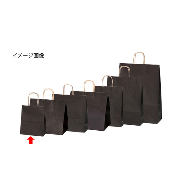 楽天市場】【まとめ買い10個セット品】カラー手提げ紙袋 黒 13×9×36