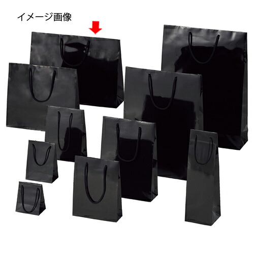 【まとめ買い10個セット品】手提げ紙袋 ブライトバッグ クロ 45×12×33cm 10枚 61-314-2-12 【ラッピング用品 ラッピングシリーズ バレンタイン・イースター・入学 ブライトバッグ ブラックシモジマ 紙袋 ツヤ有り 黒】
