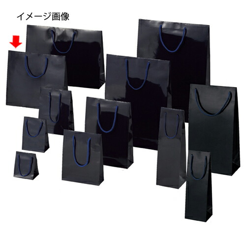 ブライトバッグ 紫紺 33×10×30 150枚 61-314-4-21 【ラッピング用品 バレンタイン イースター 入学 ブライトバッグ 紫紺シモジマ 紙袋 ツヤ有り 店舗什器 小物 ディスプレー ギフト包装紙 袋 消耗品 店舗備品】