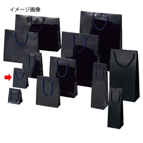 【まとめ買い10個セット品】ブライトバッグ 紫紺 12×7×16.5 10枚 61-314-4-4 【 店舗什器 小物 ディスプレー ギフト ラッピング 包装紙 袋 消耗品 店舗備品 】