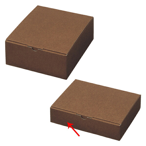 【まとめ買い10個セット品】 22×14×5cm 10枚 61-549-88-5
