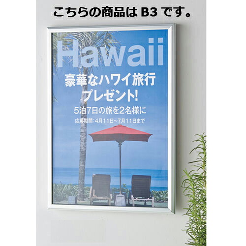 【まとめ買い10個セット品】 オープンスライド シルバー B3 61-219-9-4 【メーカー直送/代金引換決済不可】【店舗什器 小物 ディスプレー POP ポスター 消耗品 店舗備品】|厨房卸問屋 名調