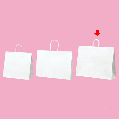 丸ひもタイプ 白無地 60&times;18&times;47 100枚 61-431-25-24 【 店舗備品 包装紙 ラッピング 袋 ディスプレー店舗 】｜厨房卸問屋 名調