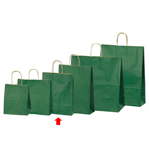 【まとめ買い10個セット品】カラー手提げ紙袋 グリーン 27×8×34 200枚 61-309-8-13 【 店舗備品 包装紙 ラッピング 袋 ディスプレー店舗 】