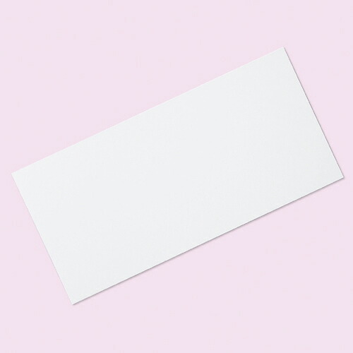 【まとめ買い10個セット品】手提紙袋用底ボール紙 44×21 50枚 61-312-11-4 【 店舗備品 包装紙 ラッピング 袋 ディスプレー店舗 】 12,252円