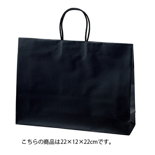 マットバッグ ブラック 22×12×22 100枚 61-314-11-6 【 ラッピング用品 紙袋 手提げ紙袋（無地） 紐付き紙袋マットバッグ 】【店舗備品 包装紙 ラッピング 袋 ディスプレー店舗】 9,657円