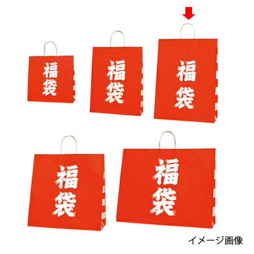 【まとめ買い10個セット品】福袋 38×15×50 50枚 61-312-1-3 【 店舗什器 小物 ディスプレー 店舗備品 】
