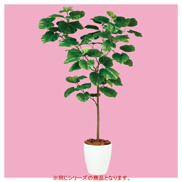 ウンベラータ(人工樹木) H180cm1台