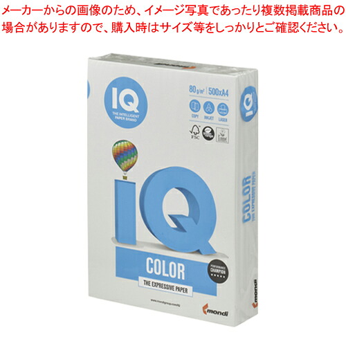 【まとめ買い10個仕掛ける品】バイオいの一番色合い A4判 500枚 BT509 薄墨色 1冊【メイチョー】