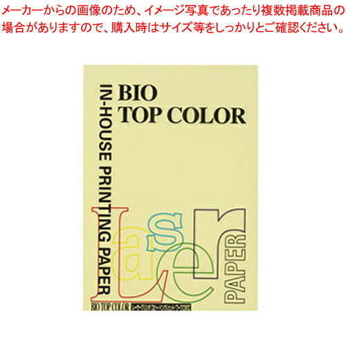 【まとめ買い10個仕かける品】バイオいの一番色合い A4判 100枚 BT127 檸檬 1冊【メイチョー】
