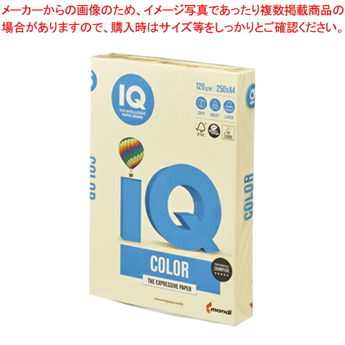 【まとめ買い10個仕掛ける品】バイオいの一番色合い A4判 250枚 BT703 黄色 1冊【メイチョー】
