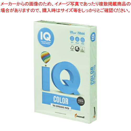 【まとめ買い10個仕掛ける品】バイオいの一番色合い A4判 250枚 BT706 M緑であること 1冊【メイチョー】