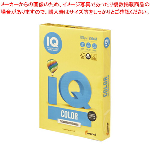 【まとめ買い10個仕掛ける品】バイオいの一番色合い A4判 250枚 BT729 洋芥子 1冊【メイチョー】