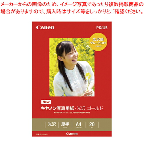 【まとめ買い10個セット品】写真用紙光沢 ゴールド A4 20枚 GL-101A420  1冊【メイチョー】