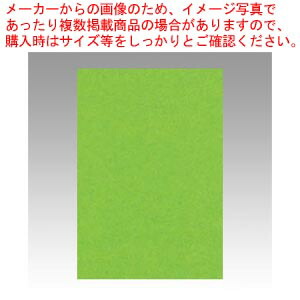 【まとめ買い10個セット品】ニューカラー8切 100枚 8NCR-238 コイキミドリ 1冊【メイチョー】