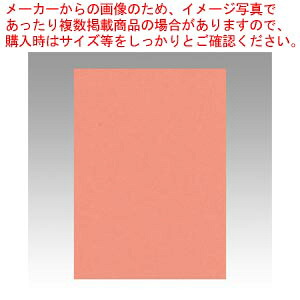 【まとめ買い10個セット品】ニューカラー4切 100枚 4NCR-127 サーモン 1冊【メイチョー】|開業プロ メイチョー