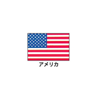 旗(世界の国旗)　エクスラン国旗　アメリカ　取り寄せ商品【メイチョー】