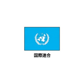 旗(世界の国旗)　エクスラン国旗　国連　取り寄せ商品【メイチョー】
