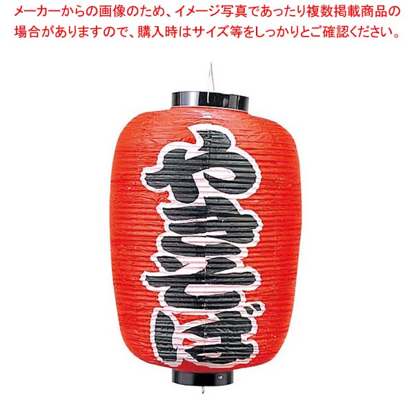【まとめ買い10個セット品】 ビニール提灯 255 やきそば 12号長【メイチョー】 54,124円