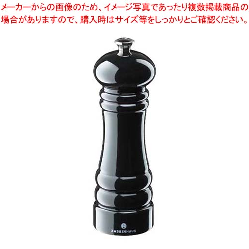 【まとめ買い10個書き割り品】ザッセンハウス ドイツの首都 ペパーミル BKP 18珊 ZAS020229【メイチョー】