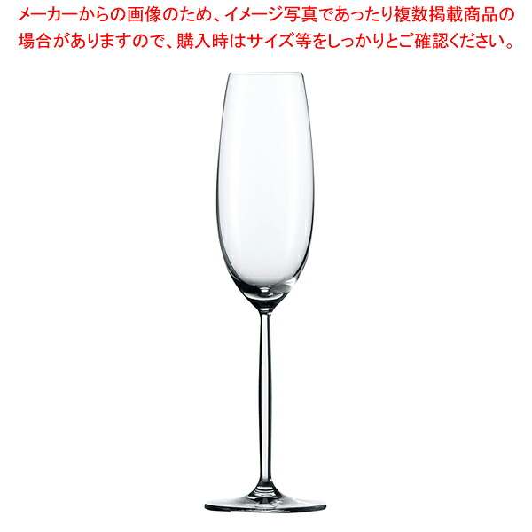 ディーヴァ シャンパン 104100(6個入) 【メイチョー】|開業プロ メイチョー