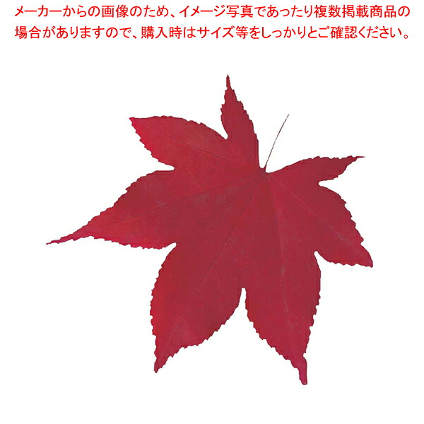 【まとめ買い10個仕掛ける品】型抜きせつ然たる腰かけ(200枚入) 65785 ミニ･赤もみじ【 一皿分の料理監督備品 敷き小物 バレンタイン でき事 クリスマス 白いことデー 一皿分の料理監督備品 敷き小物 御役目用】【メイチョー】