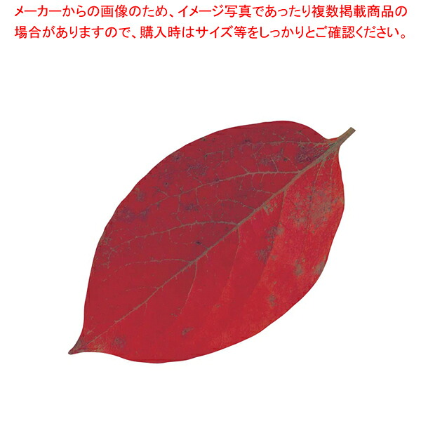 【まとめ買い10個仕掛ける品】型抜きせつ然たる腰かけ(200枚入) 65786 ミニ･柿の葉【 一皿分の料理監督備品 敷き小物 一皿分の料理監督備品 敷き小物 御役目用】【メイチョー】