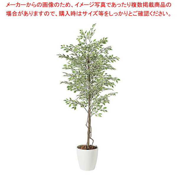SG ベンジャミナ スターライト 90719 1.8m【人工樹木 作り物】 【厨房用品 調理器具 料理道具 小物 作業 厨房用品 調理器具 料理道具 小物 作業 業務用】【メイチョー】