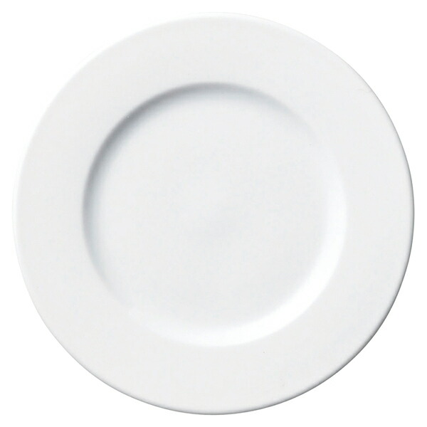 【まとめ買い10個仕掛ける品】和食器 ネ574-018 泊まり判定基準(越南製) HS一皿16【メイチョー】