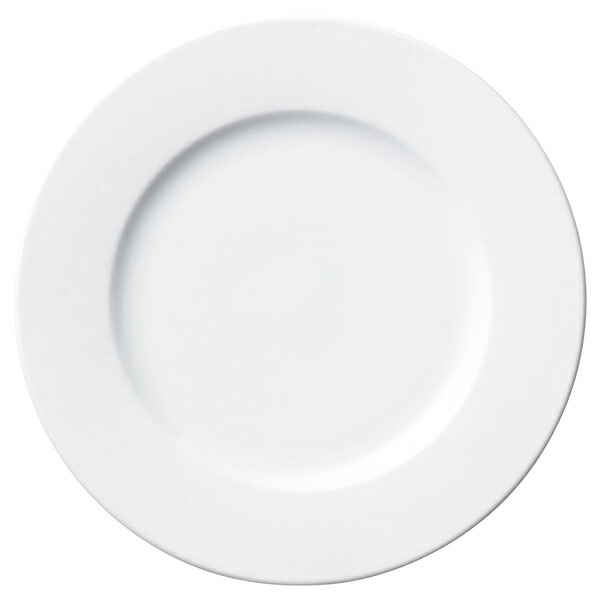 【まとめ買い10個セット品】和食器 ネ574-038 ホテルスタンダード(ベトナム製) HSプレート21【メイチョー】