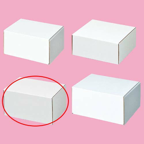 【まとめ買い10個セット品】フリーボックス 16.2×12×8.3 10枚 61-286-2-9 【店舗什器 小物 ディスプレー ギフト ラッピング 包装紙 袋 消耗品 店舗備品】【メイチョー】