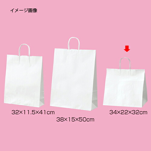 丸吊りひも ローコストタイプ 白無地 34×22×32 200枚 61-658-55-22 【バス発着場機械 小物 見せびらかす 差し上げ物 ラッピング 荷拵え紙 袋 摺り切る品 バス発着場備え付け】【メイチョー】