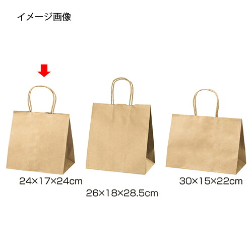 【まとめ買い10個セット品】丸ひもタイプ 茶無地 24×17×24 50枚 61-431-24-1 【店舗什器 小物 ディスプレー ギフト ラッピング 包装紙 袋 消耗品 店舗備品】【メイチョー】
