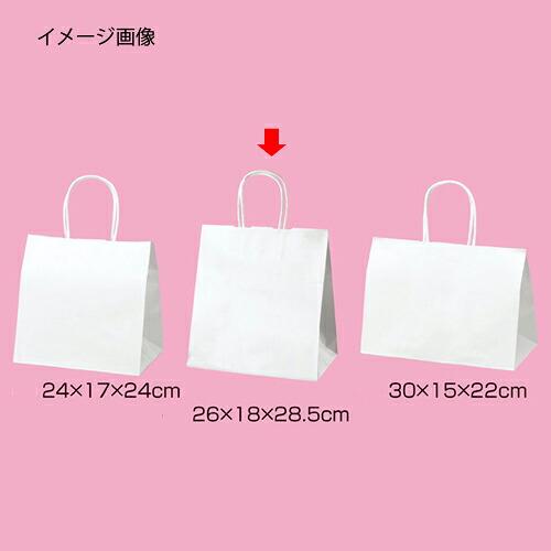 【まとめ買い10個書き割り品】丸吊りひも印字機 白無地 26×18×28.5 200枚 61-431-25-14 【バス発着場機械 小物 見せびらかす 差し上げ物 ラッピング 荷拵え紙 袋 疲労困憊品 バス発着場備え付け】【メイチョー】
