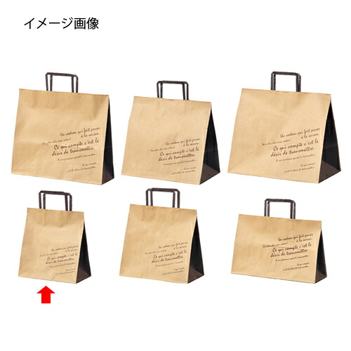 柄入り口・入口手提げ紙袋 平吊りひも 赤銅色 22×14×25 300枚 61-658-60-17 【バス発着場什物 小物 見せびらかす 差し上げ物 ラッピング 荷造り紙 袋 摩り切る品 バス発着場備え付け】【メイチョー】 日用品雑貨・文房具・手芸-袋-紙袋・手提げ袋
