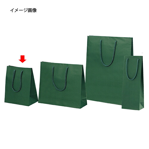【まとめ買い10個セット品】手提げ紙袋 カラークラフト袋 グリーン 20×12×25cm 10枚 61-313-5-1 【 ラッピング用品 手提げ紙袋（無地） カラー手提げ紙袋 】【 包装 ラッピング袋 ペーパーバッグ 中身が見えにくい 無地 クラフト袋 手提げ袋 業務用 】【メイチョー】