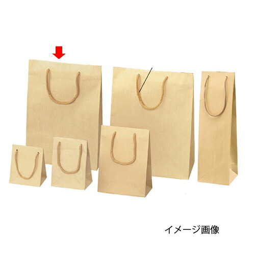 【まとめ買い10個書き割り品】エン主任者 手工芸品 22.5×8×32 50枚 61-313-9-11 【バス発着場機械 小物 見せびらかす 差し上げ物 ラッピング 荷造り紙 袋 疲労困憊品 バス発着場備え付け】【メイチョー】