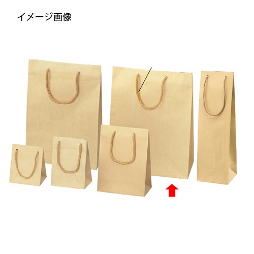 【まとめ買い10個書き割り品】エン主任者 手工芸品 25.5×14.5×33 50枚 61-313-9-12 【バス発着場機械 小物 見せびらかす 差し上げ物 ラッピング 荷造り紙 袋 疲労困憊品 バス発着場備え付け】【メイチョー】