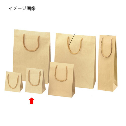 【まとめ買い10個セット品】エンボス クラフト 12×7×16.5 50枚 61-313-9-9 【店舗什器 小物 ディスプレー ギフト ラッピング 包装紙 袋 消耗品 店舗備品】【メイチョー】 38,214円