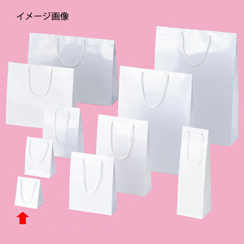 【まとめ買い10個書き割り品】ブライトバッグ 白いこと 10×7×12 50枚 61-314-1-14 【バス発着場機械 小物 見せびらかす 差し上げ物 ラッピング 荷拵え紙 袋 疲労困憊品 バス発着場備え付け】【メイチョー】