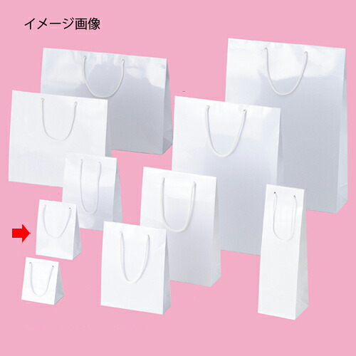 【まとめ買い10個書き割り品】ブライトバッグ 白いこと 12×7×16.5 50枚 61-314-1-16 【バス発着場機械 小物 見せびらかす 差し上げ物 ラッピング 荷拵え紙 袋 疲労困憊品 バス発着場備え付け】【メイチョー】