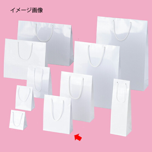 ブライトバッグ 白いこと 18.5×6.5×24 50枚 61-314-1-18 【ラッピング設備 紙袋 手提げ紙袋（無地） 紐付き紙袋ブライトバッグ】【バス発着場機械 小物 見せびらかす 差し上げ物 ラッピング 荷拵え紙 袋 摺り切る品 バス発着場備え付け】【メイチョー】