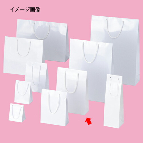 【まとめ買い10個セット品】手提げ紙袋 ブライトバック ホワイト 22.5×8×32cm 10枚 61-314-1-8 【 ラッピング用品 紙袋 手提げ紙袋（無地） 紐付き紙袋ブライトバッグ 】【メイチョー】